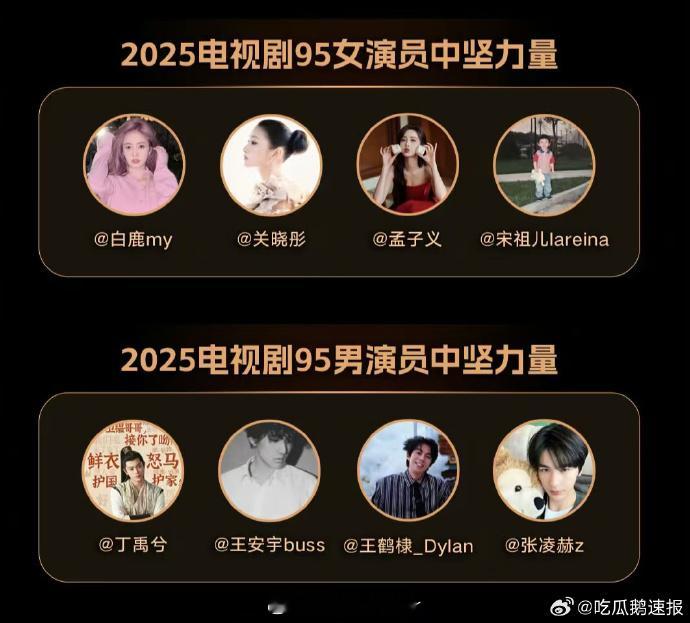 95演员中坚力量丁禹兮王安宇王鹤棣张凌赫男演员中坚力量四人题材驾驭无短板，古装现