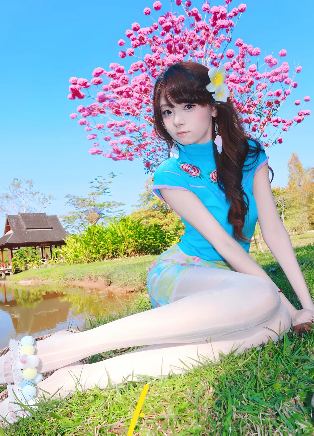 赴一场春日花约🌸