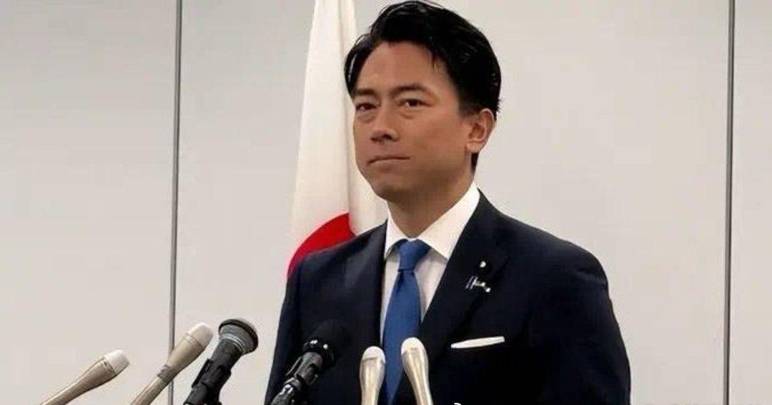 |凌洋到底是谁给的底气，竟然想让中国撤销制裁！作为日本前首相小泉纯一郎的儿子，这