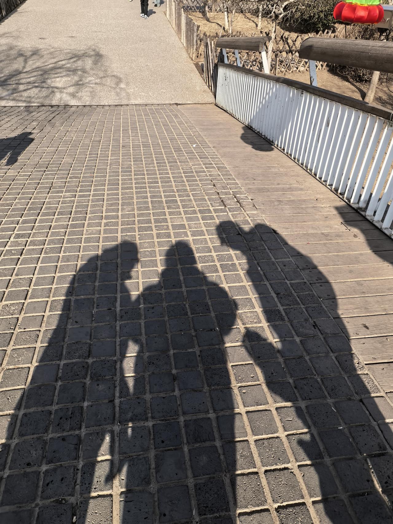 哈哈，谁最胖啊。
影子游戏。