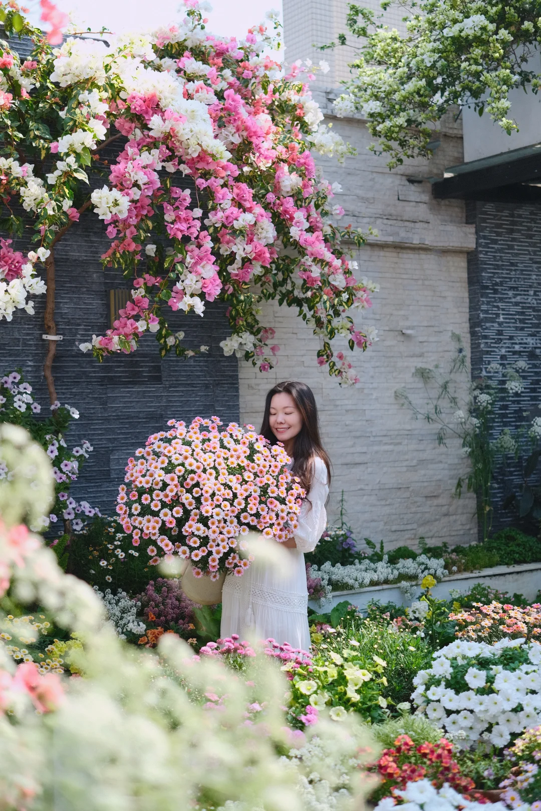 两广养花 | 附植物清单