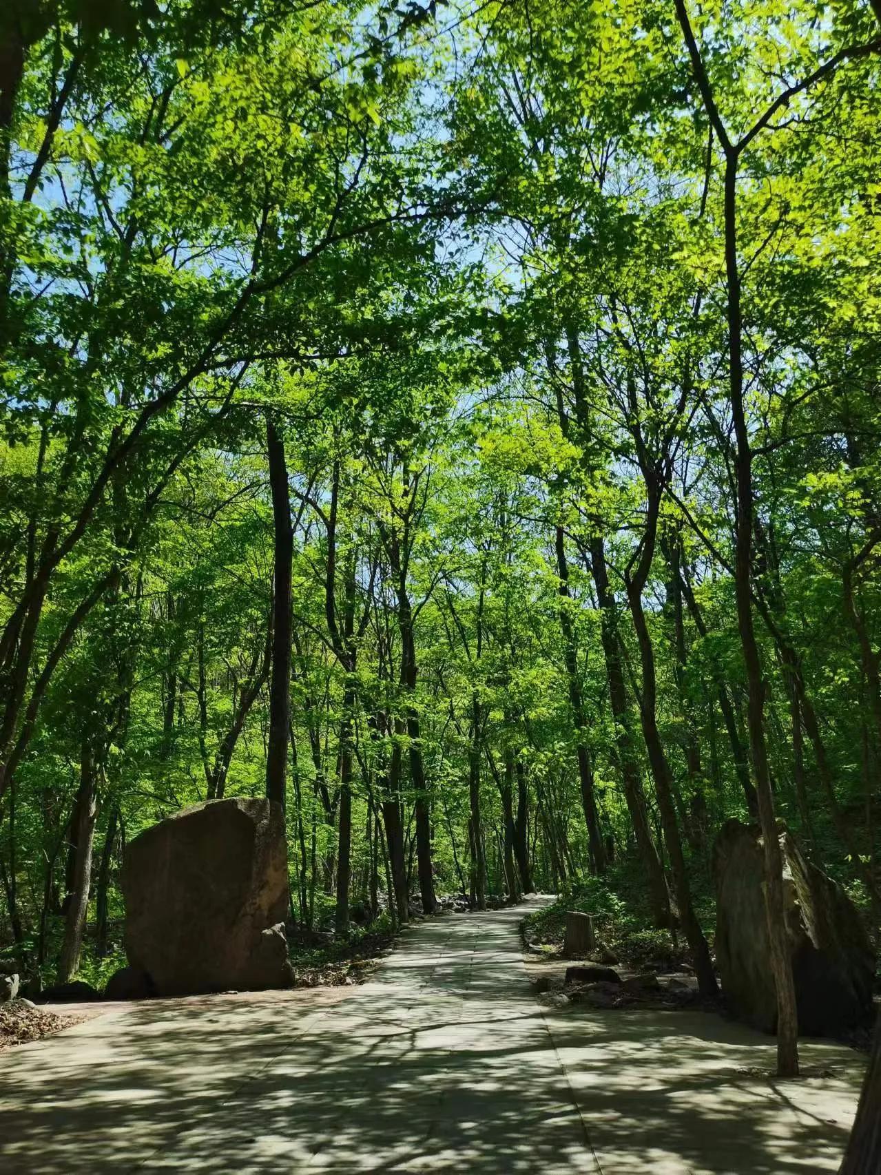 出淤泥而不染，
濯清涟而不妖。
暮鼓晨钟田园色，
洗尽铅华淡如菊。
问渠那得清如