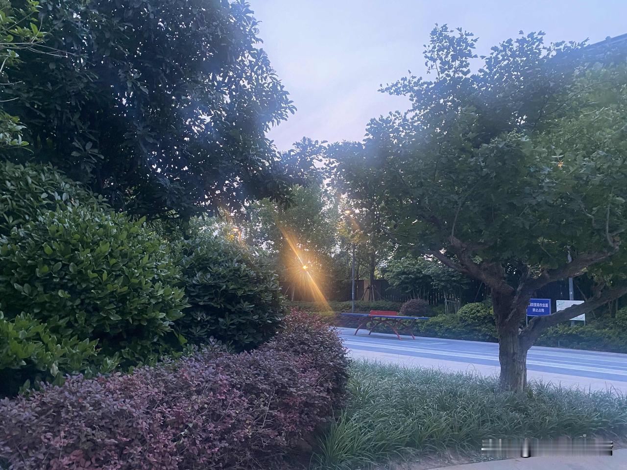 真心话茶局黄昏时分，静谧的住宅区，绿树成荫，灯火初上。
