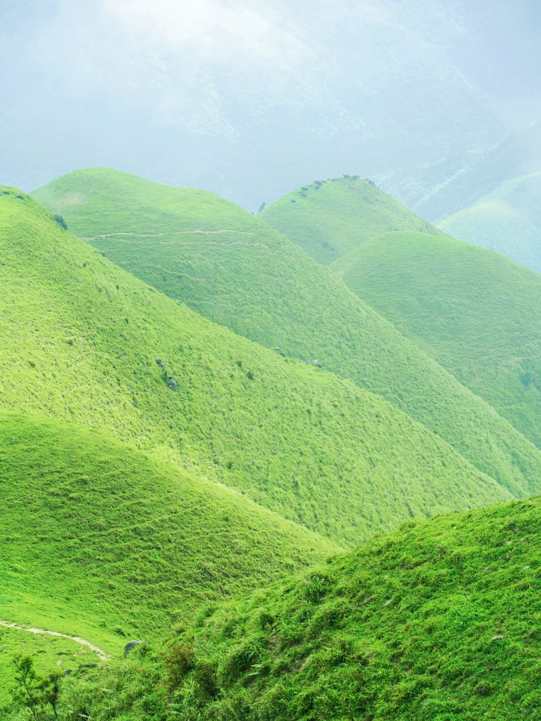 广东省内走过最惊艳的路线⛰三官山三官顶！