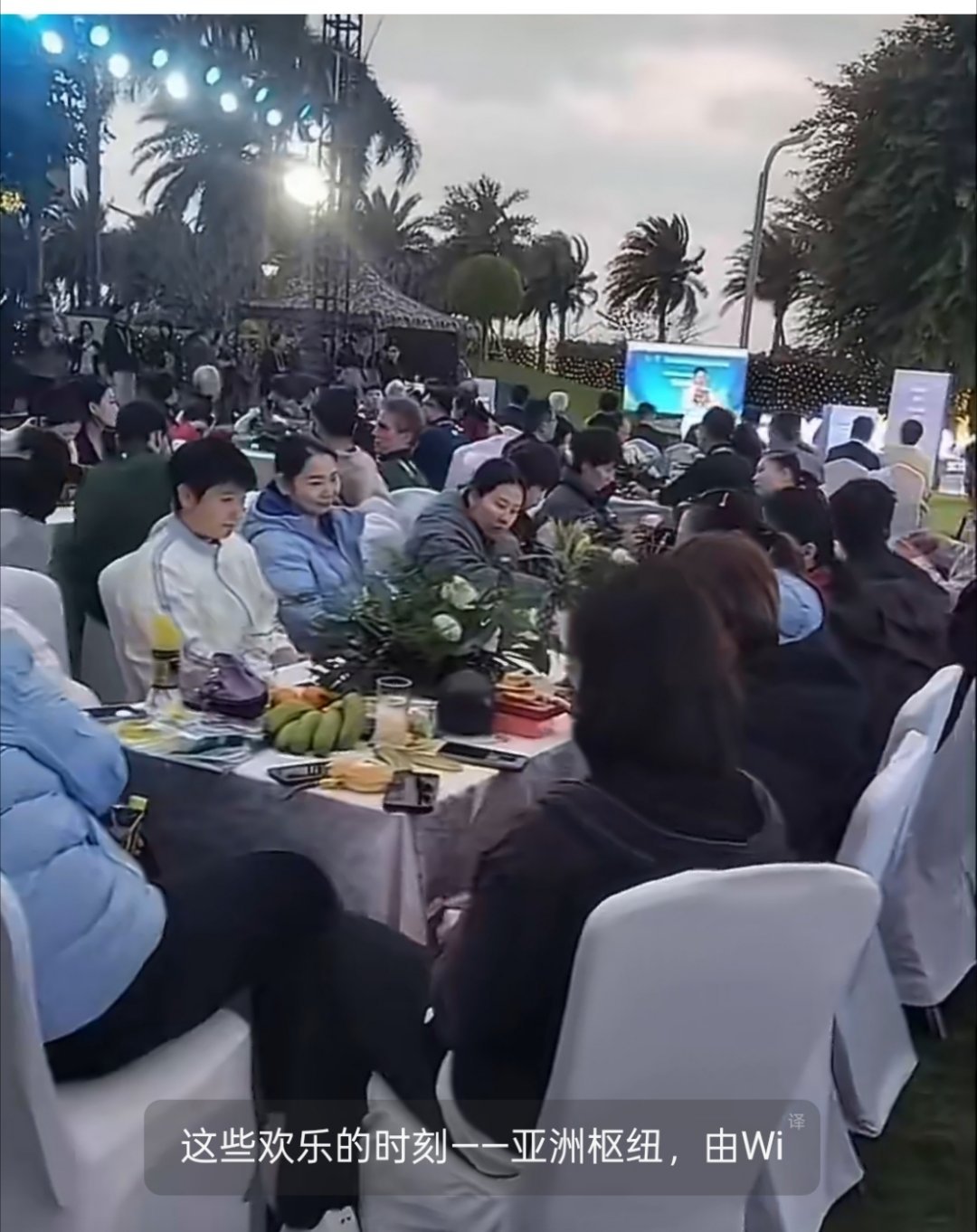 星光璀璨！国乒全员亮相海南亚洲杯晚宴，烟火共庆新春海南亚洲杯晚宴聚会 在海南举办