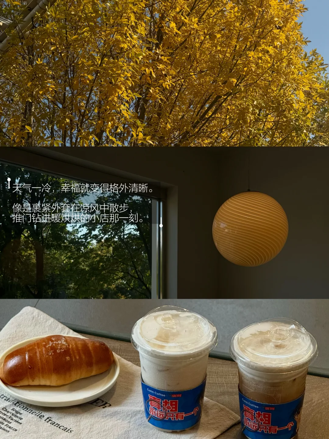 天气一冷我就越容易感到幸福。