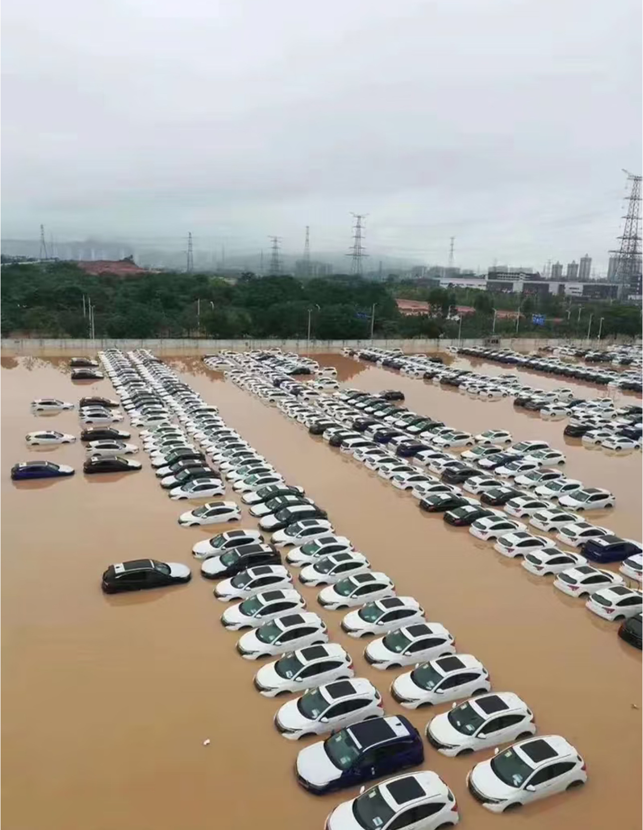 事故车和泡水车都不建议碰，风险类型不同但都不小。事故车要看伤在哪，伤到保险杠、车