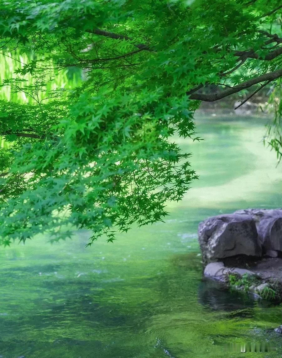 #上联：夏至绿意浓#
上联：夏至绿意浓，
下联：山间泉水凉。