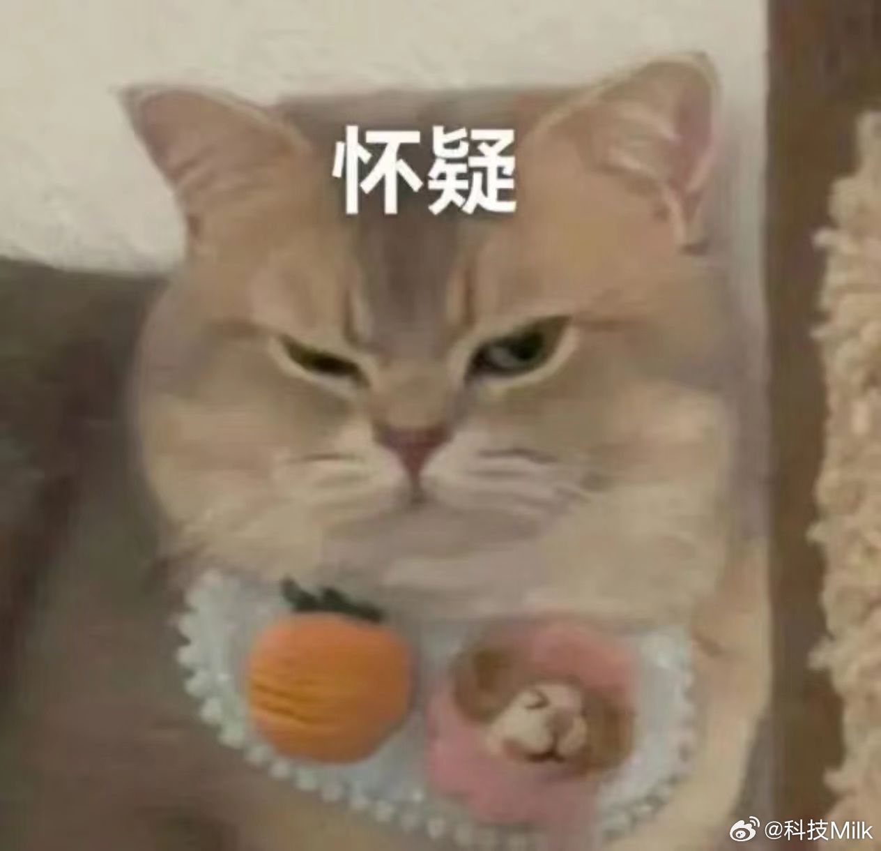 买家电选功能还是选智能 这俩选项完全可以共存啊，那肯定是都要啊，家电这些大件，不