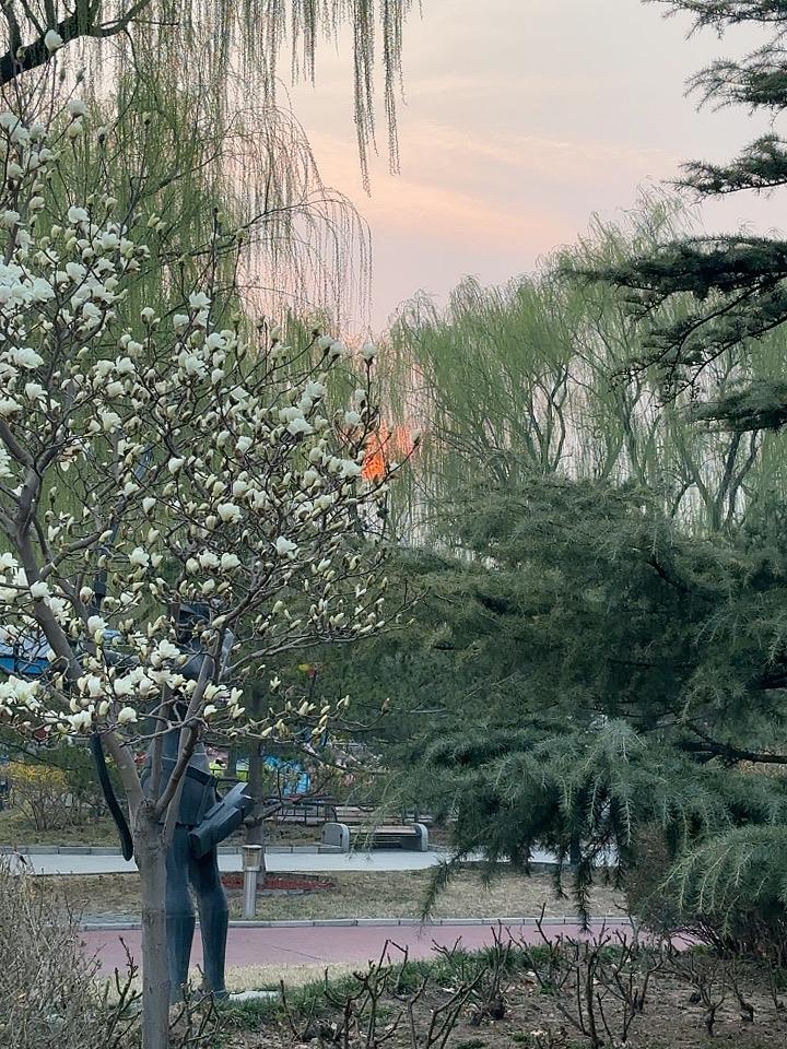 我拍到的落日瞬间