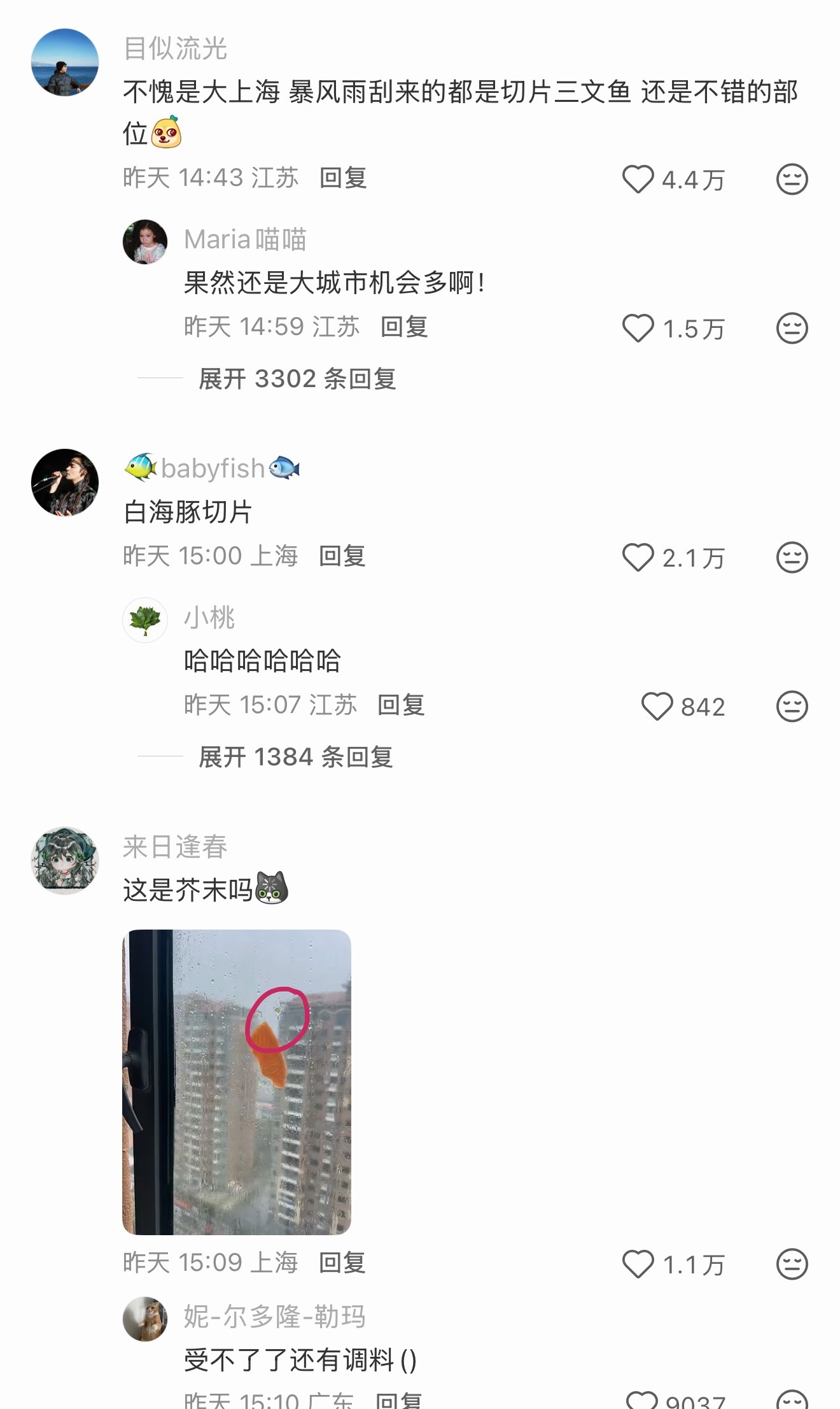 上海果然机会多啊，台风把三文鱼吹窗户上了