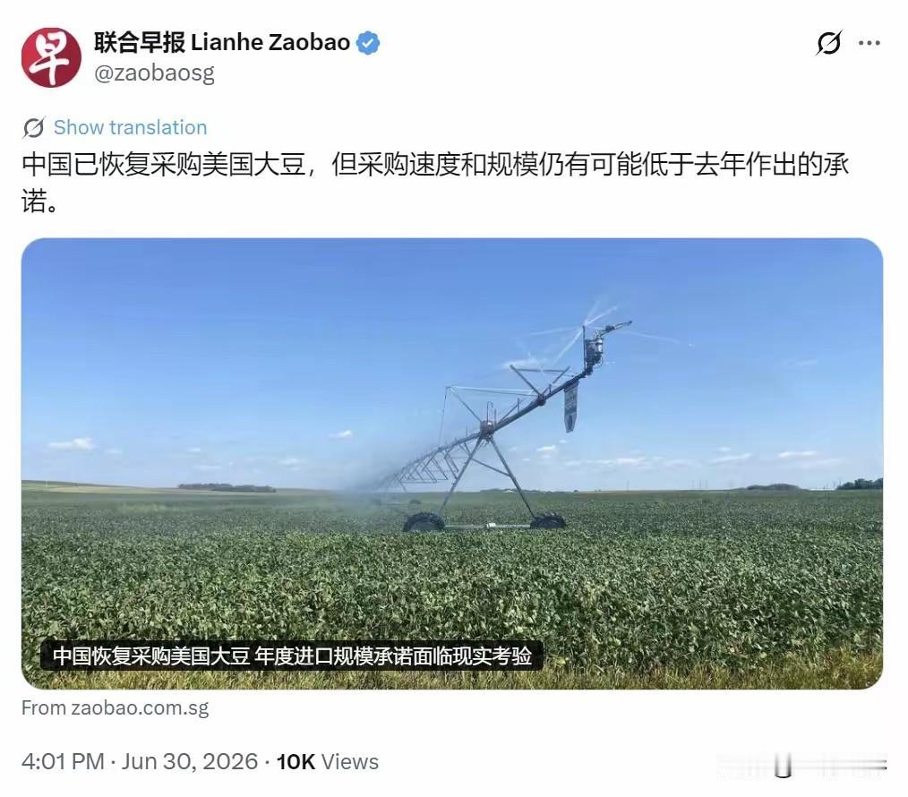 中国恢复买美国大豆了，却故意没买够承诺的量。
 
新加坡《联合早报》6月30日透