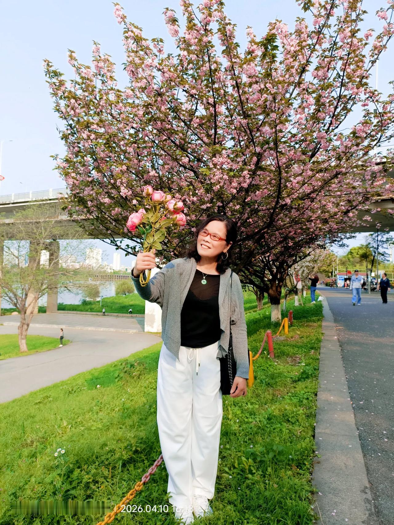 随手拍株洲春日赏花.湘江风光带