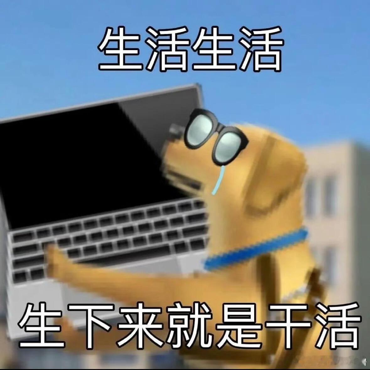 看到白鹿的“送璃好运”抽抽乐：我只能说  好萌好喜欢  这次东西除了小卡以外好实