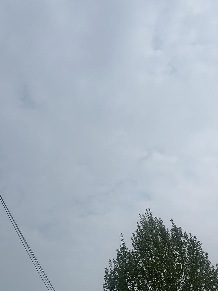 真的不得不相信
人一旦没有了盼头，
越过越没意思。

楼下的李叔今年59岁，之前