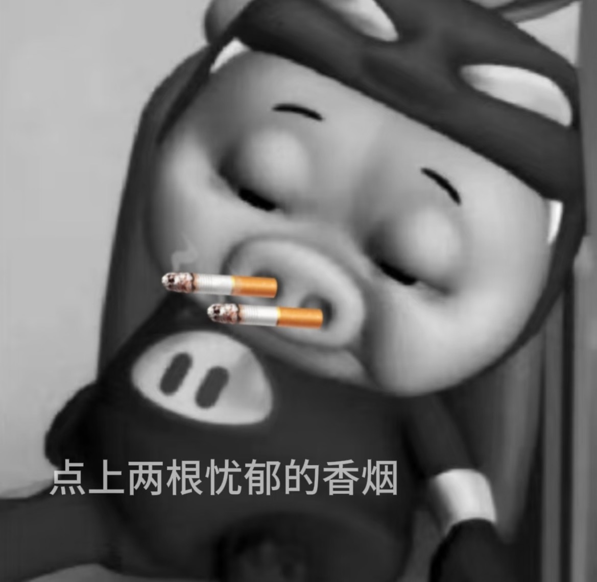 分享图片 