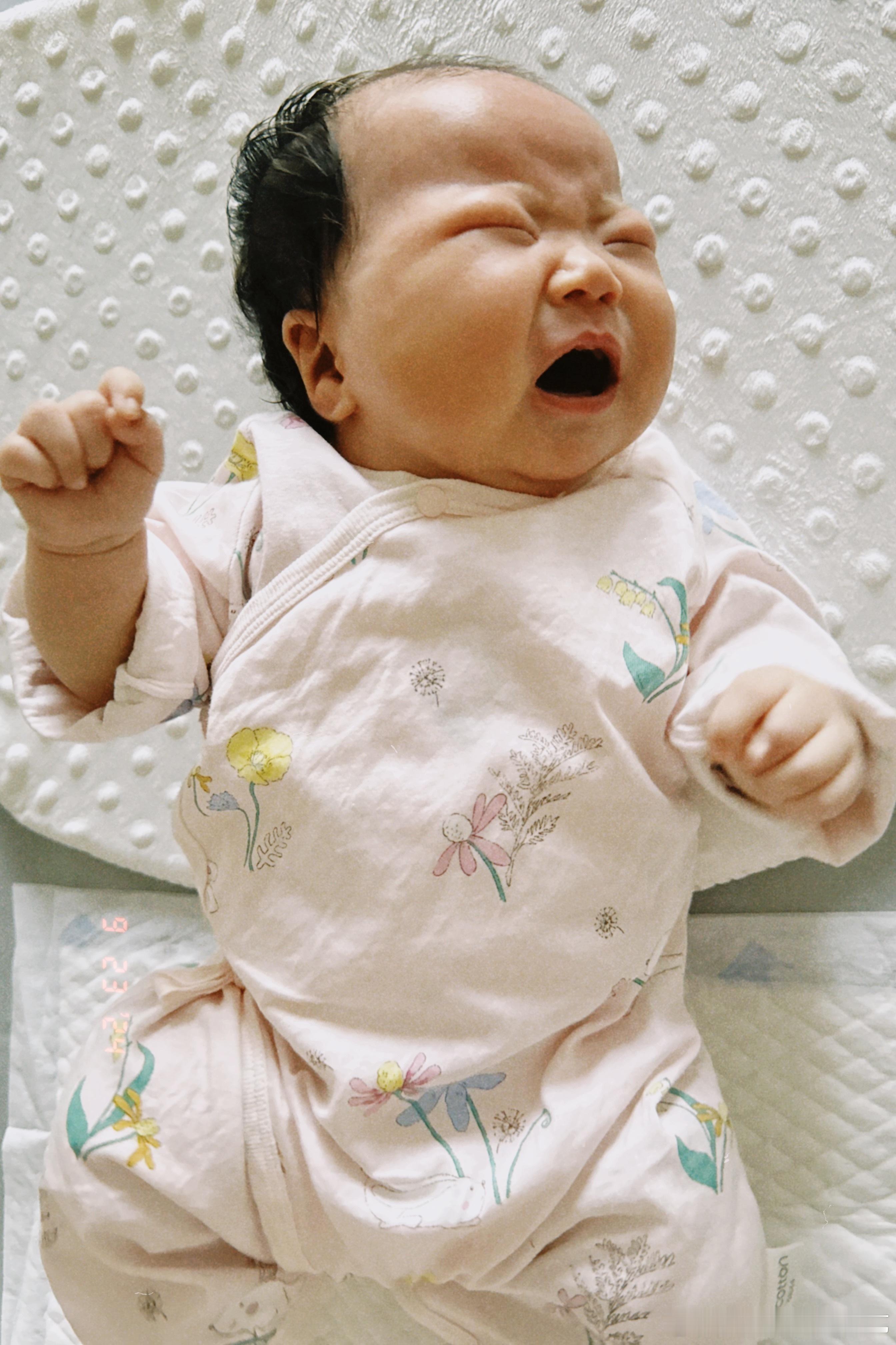 一只要喝奶的西瓜🍉#西瓜瓜瓜瓜瓜# ​​​