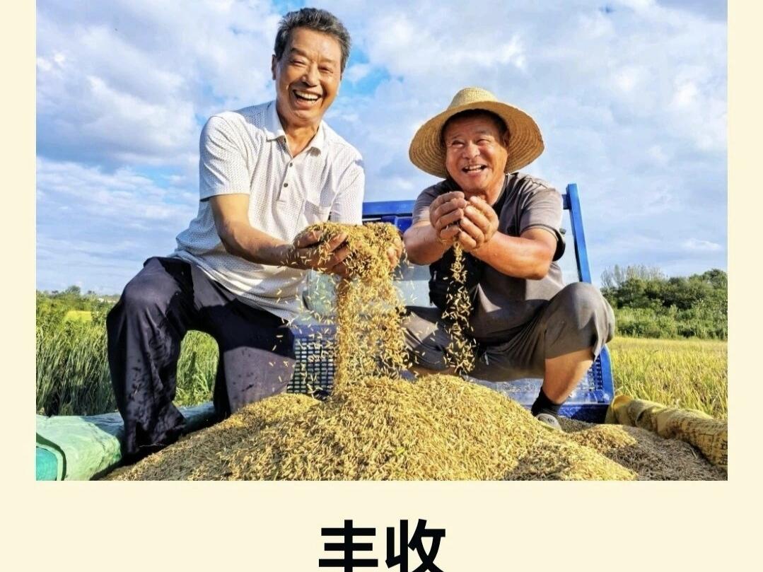 天净沙·庆丰收
霜凝秋杪田间，
稻梁金浪无边。
仗犁驱马向前。
丰收欢宴，
农家