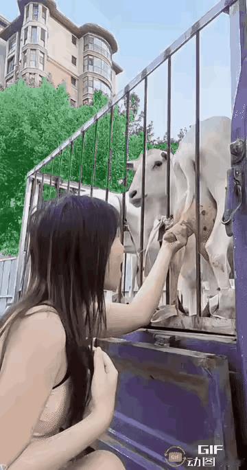 这算不算偷呢？！