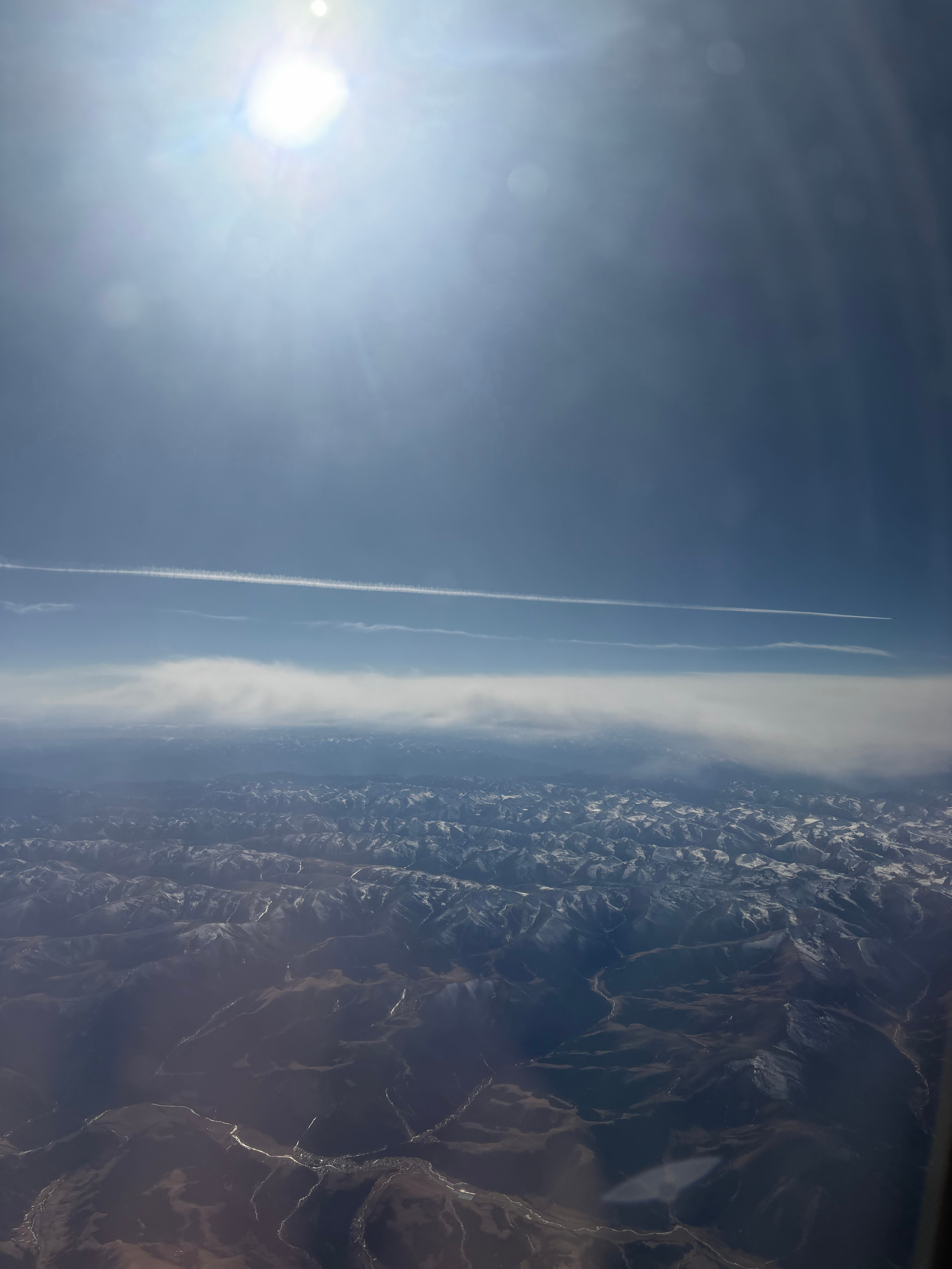 路上看到的，不知道是什么，速度不低 拉萨·罗布林卡