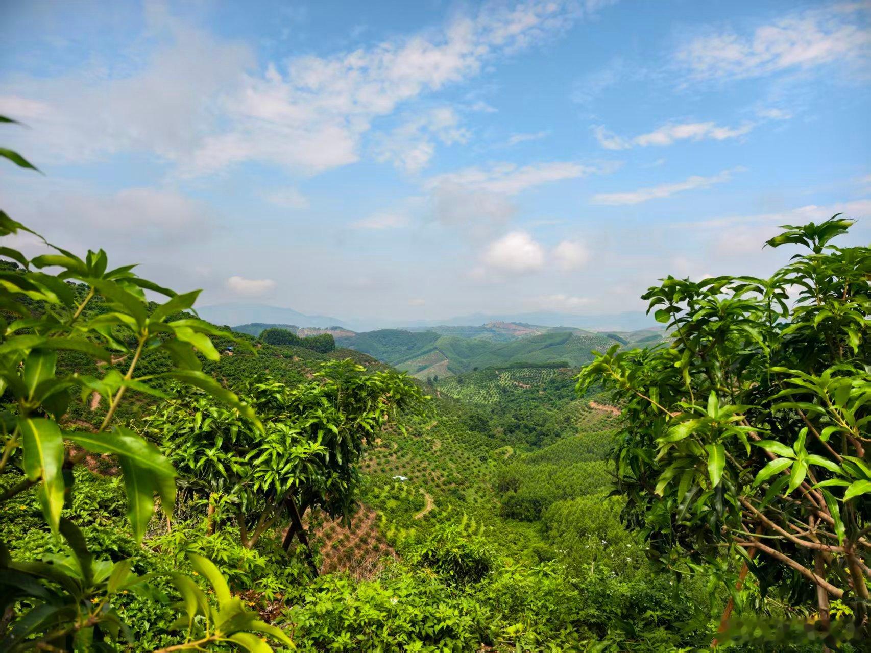 喏喏喏，就这样的风景，有什么值得顶着30几度的太阳🌞，骑摩托车去看的啦？我严重