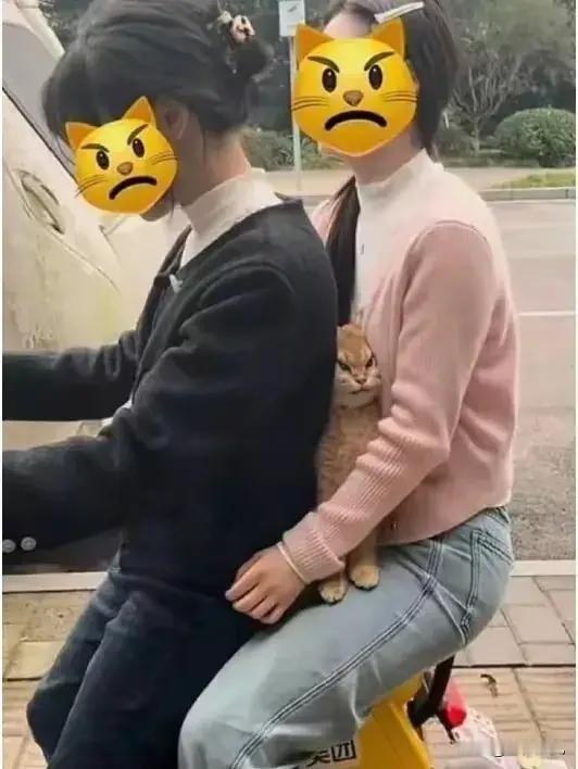 小猫可以坐下一趟车的，太可怜了。。。。 ​​​