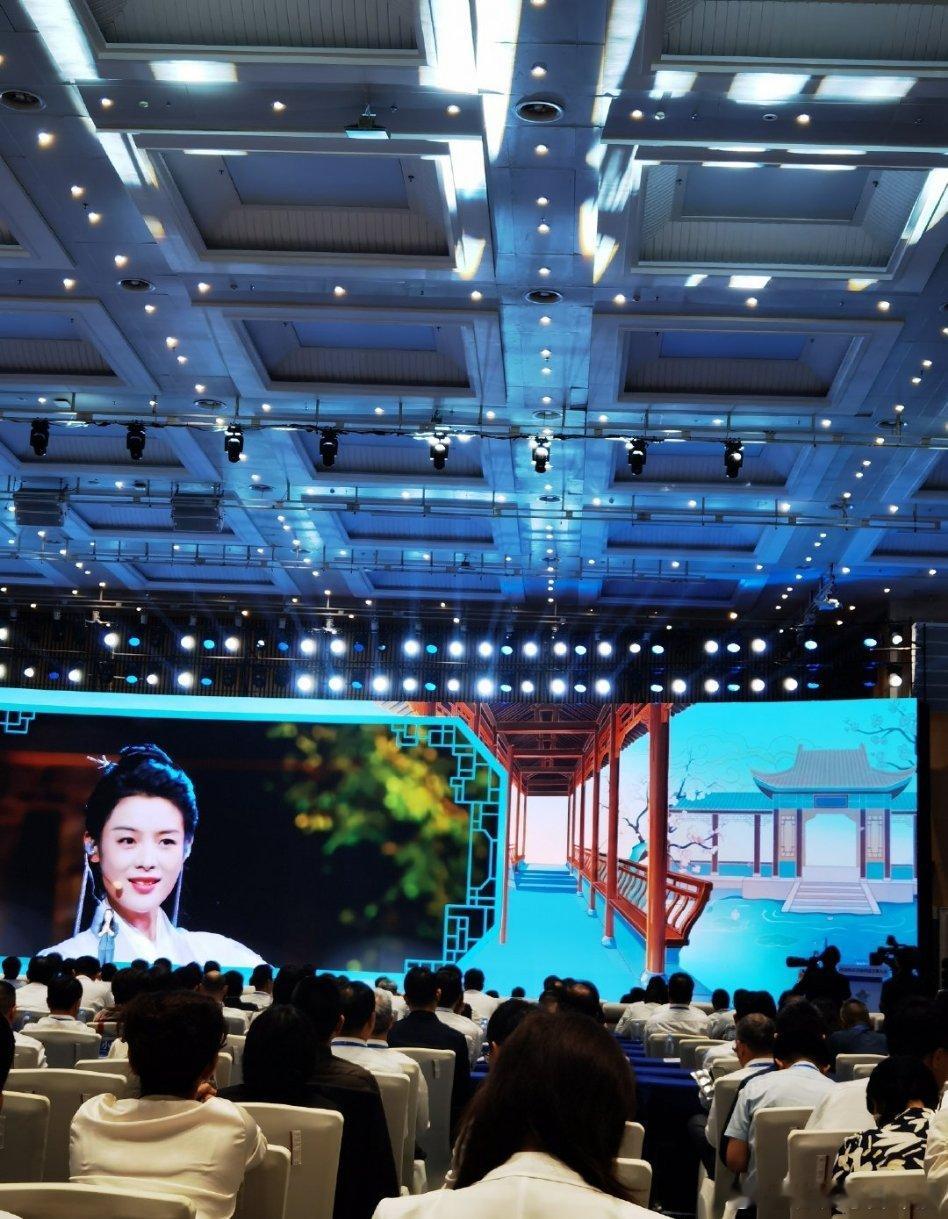 陈丽君、于适今天出席中国网络文明大会分享经验，好正能量