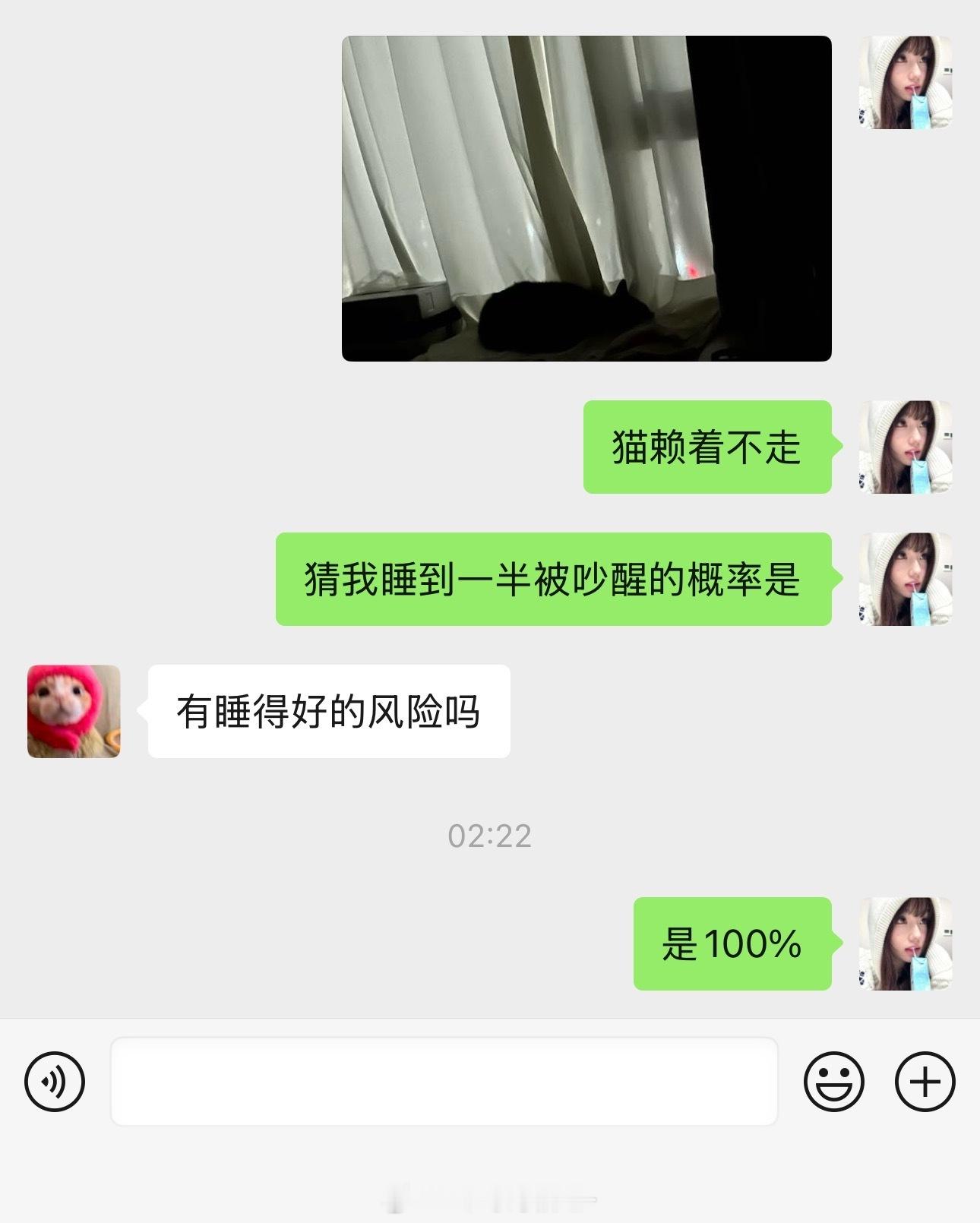 我就知道奏奏在房间一定是错的看它睡挺香没赶它出去，两点半雷霆大猪突然咣当落地吓死