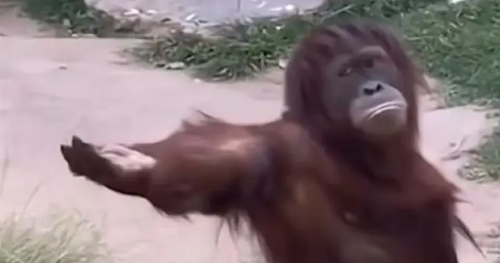 萝卜快跑，最新型的人格测试题