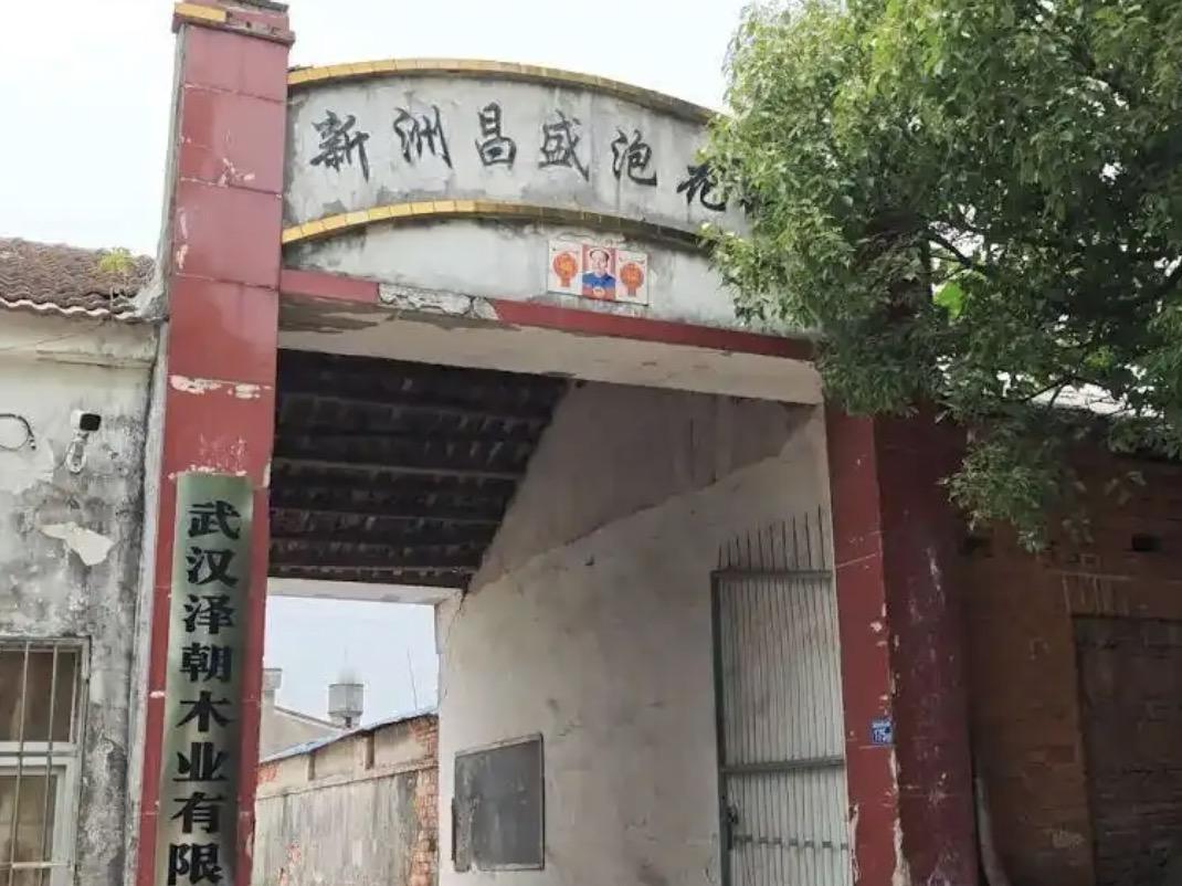 585个人的村庄，你要是一两个人患癌和白血病，这还都说得过去，可整整62个人，这