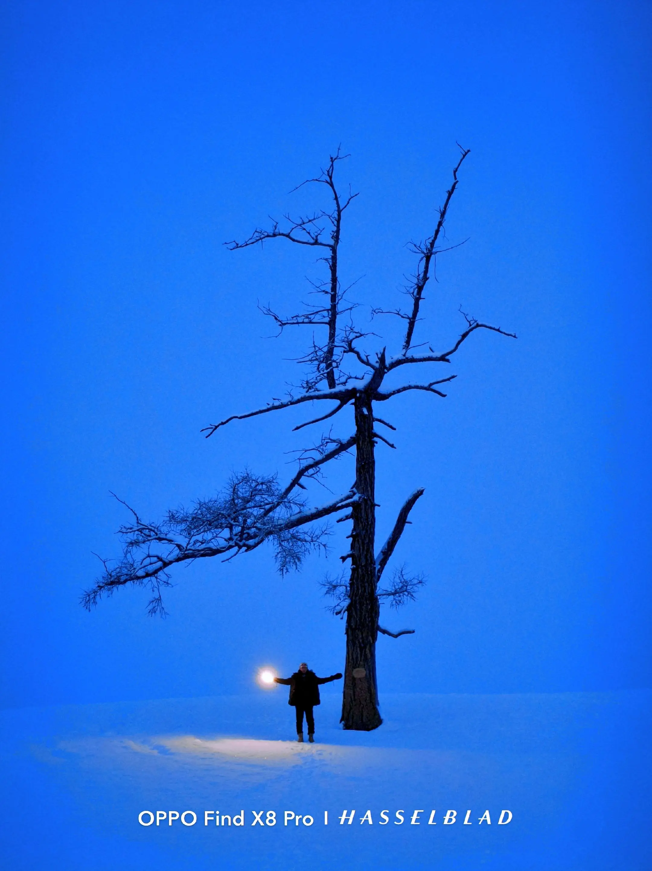 我的计划是一直自由直到遇到一个 胜过我独活