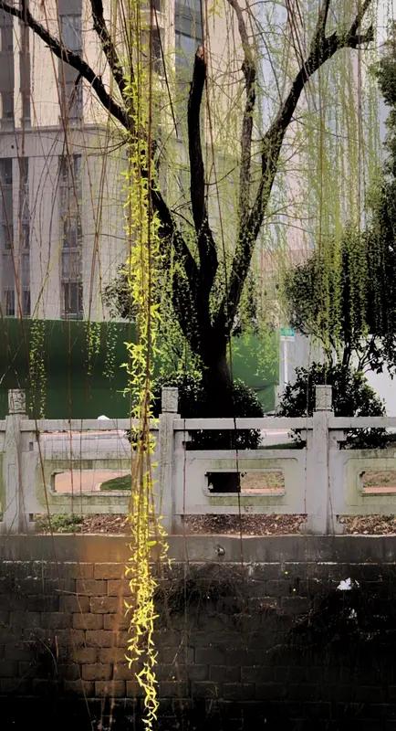 上联：细雨轻烟，笼尽春城寒食路；
下联：淡云微露，落遍陌上断魂情。