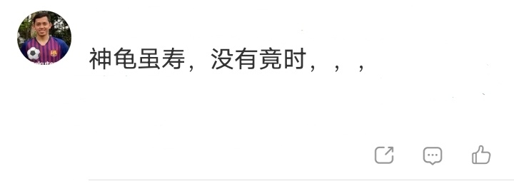我滴个龟龟