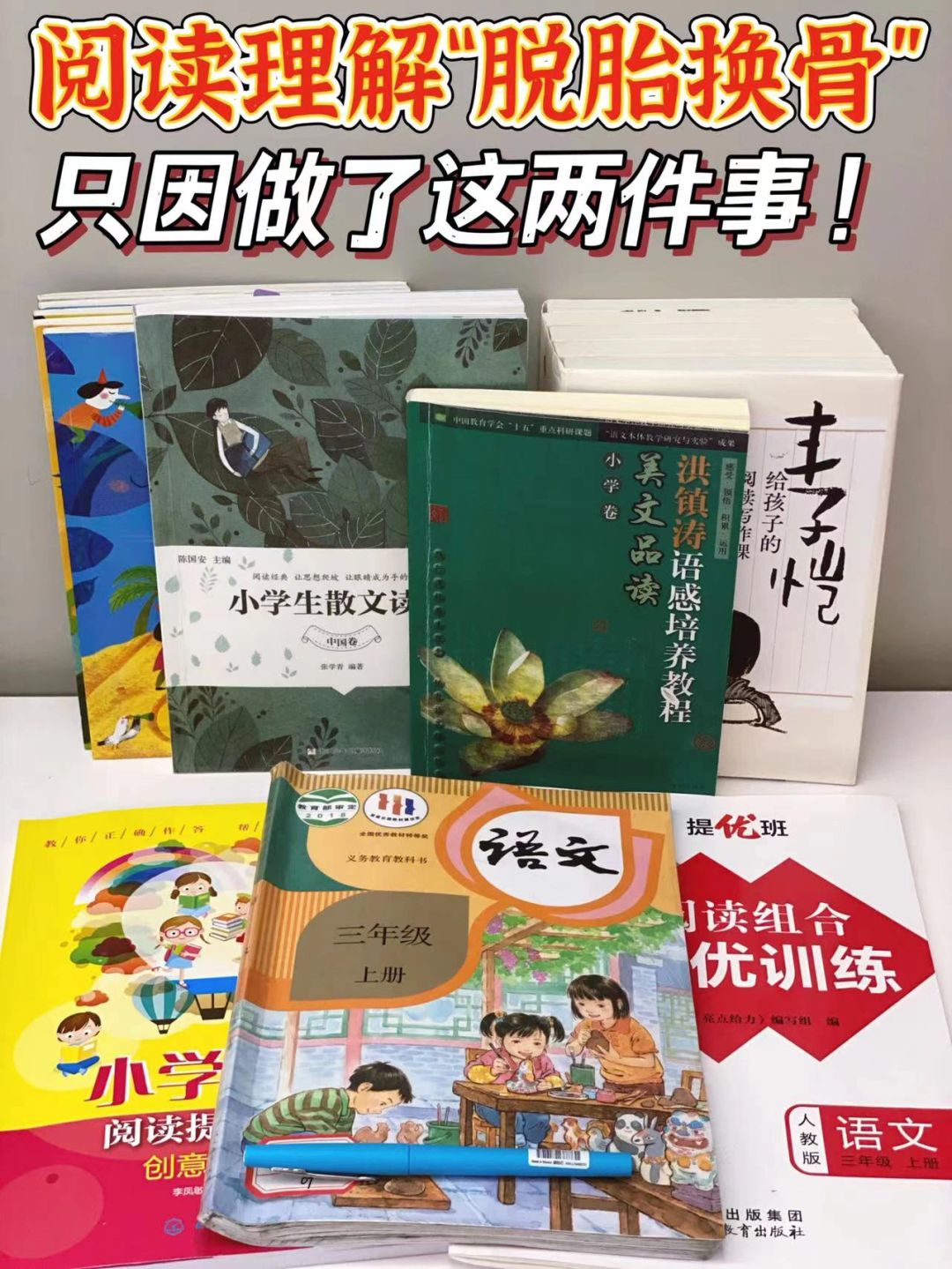 怎么在家自🐔阅读理解❓做到考试不丢分💯