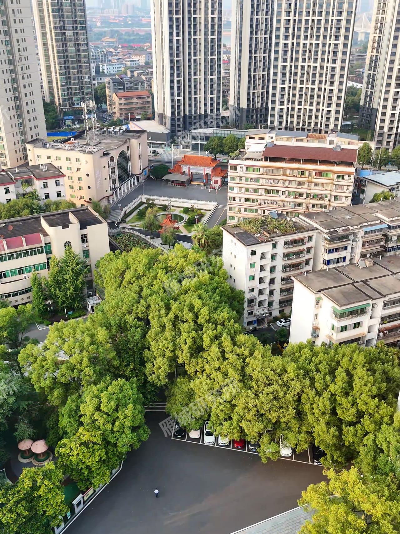 衡阳市八中将要扎根白沙洲！

两大扩建项目选址公示正式出炉，白沙洲片区配套迎来重