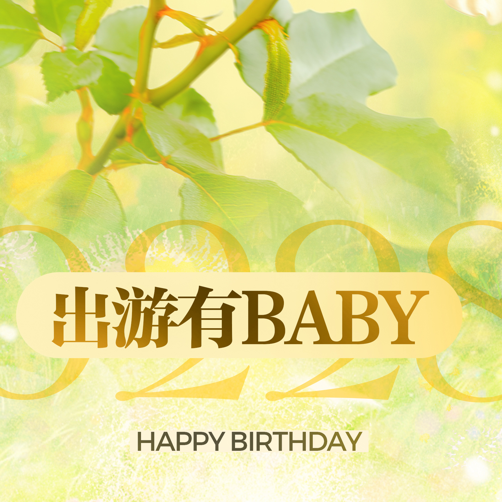 angelababy 🪭angelababy三拾澄明七堇新荔         