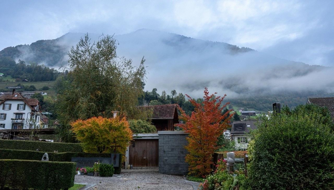 有些大咖眼光独到。比如之前国内有位大咖就说过，要是一个地方的门头都是统一标准，且