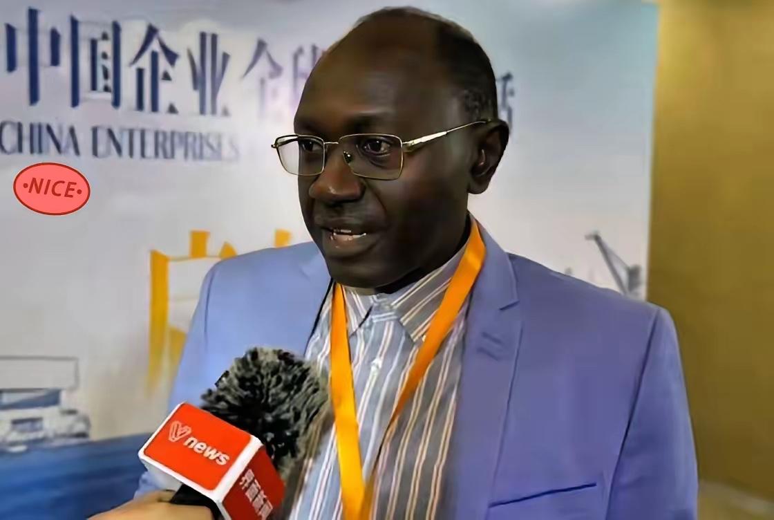 非洲这招，比印尼还狠

上海那场"中国企业全球影响力对话"上，非盟泛非议会代表、