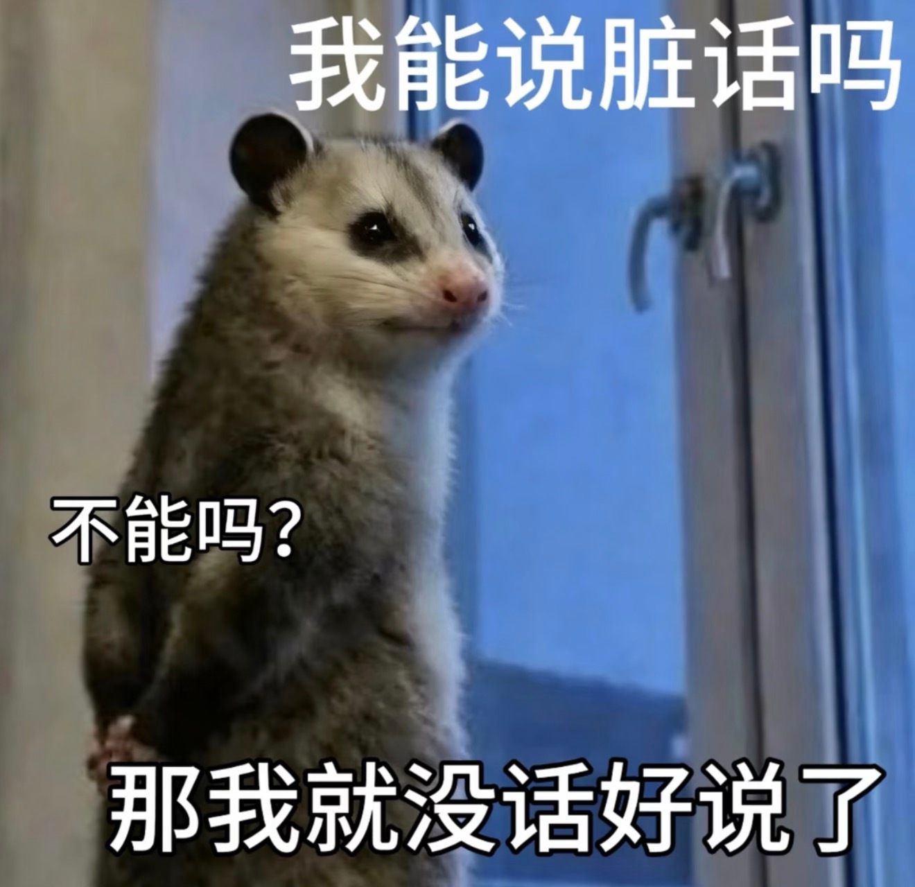 我已无语已力竭已沉默。为了🐴我心肝 大姐姐们也是两耳不闻窗外事 给自己创造了一