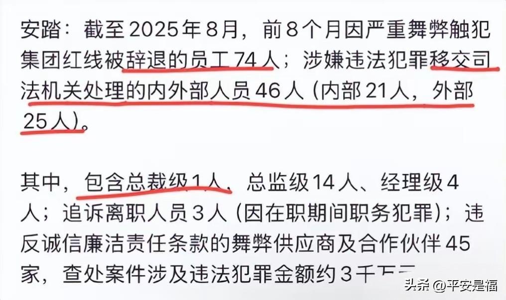安踏严惩内鬼！74名员工被辞退，46人送进去，涉及3千万元
 
这事儿一爆出来，
