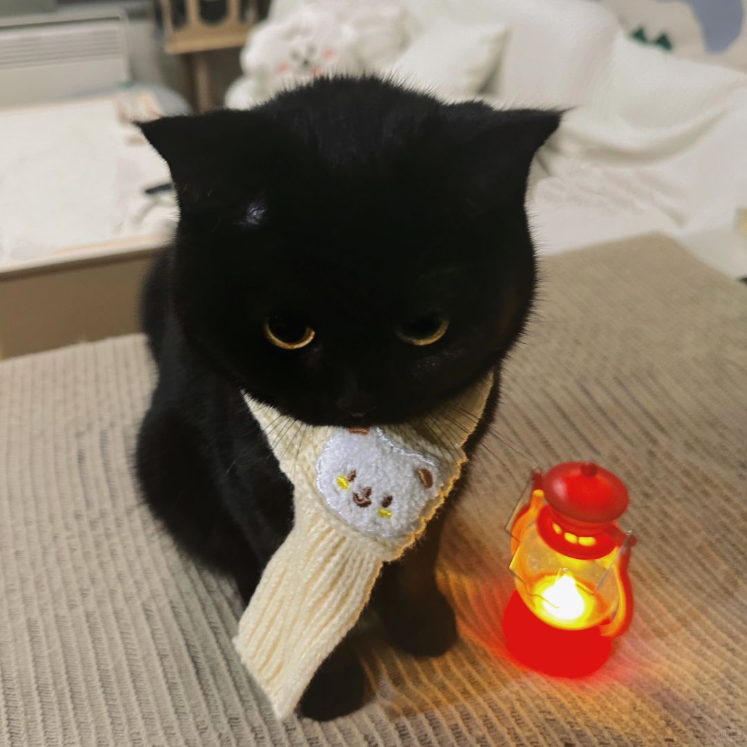 老师 我家孩子怎么每天都黑着脸