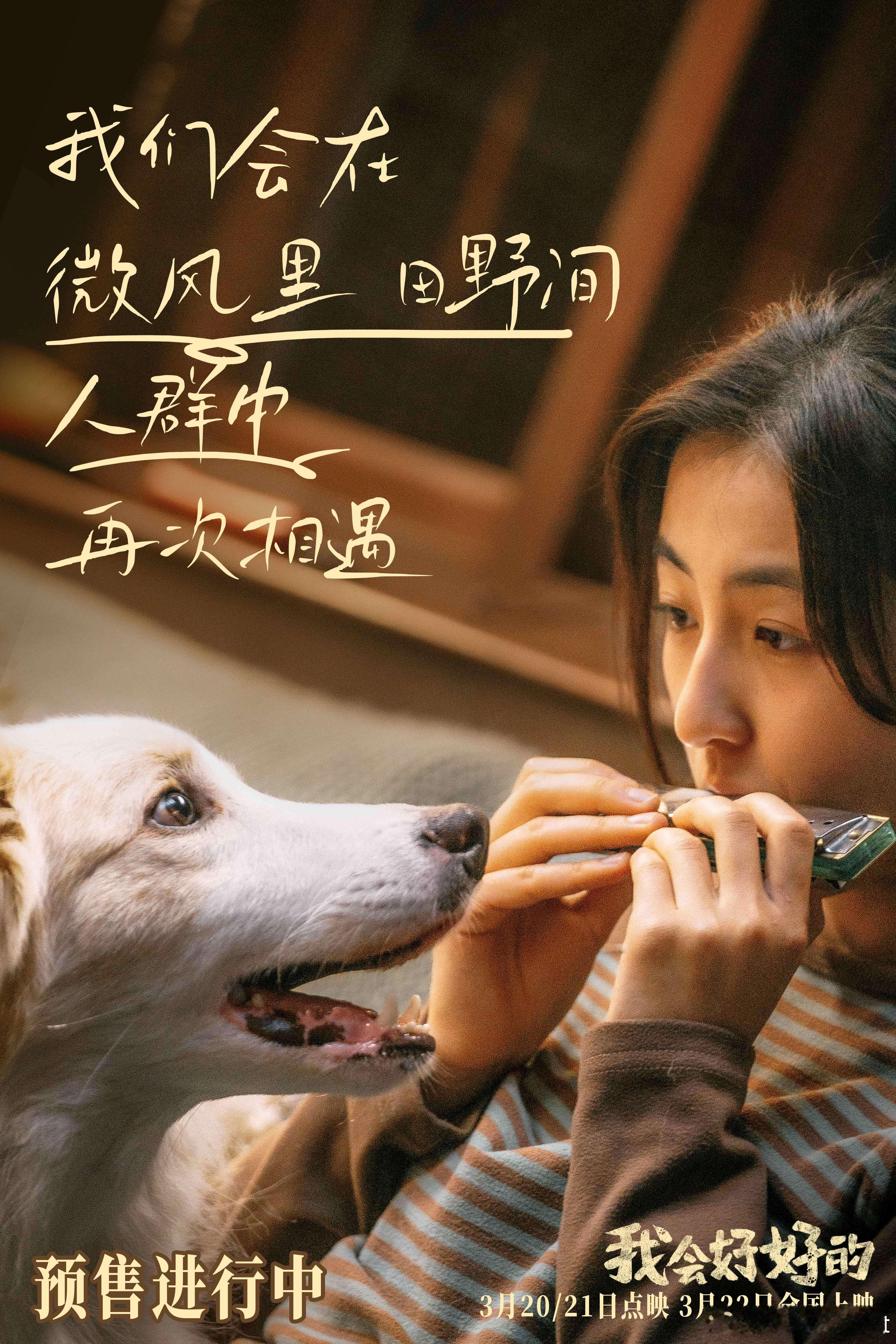 张子枫新片终极预告好哭 电影《我会好好的》今日发布的剧照展现了影片中多段人宠关系
