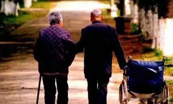 孩子孝顺意味着教育的成功，你是否正在践行这样的教育呢？父母教育子女 父母对子女的