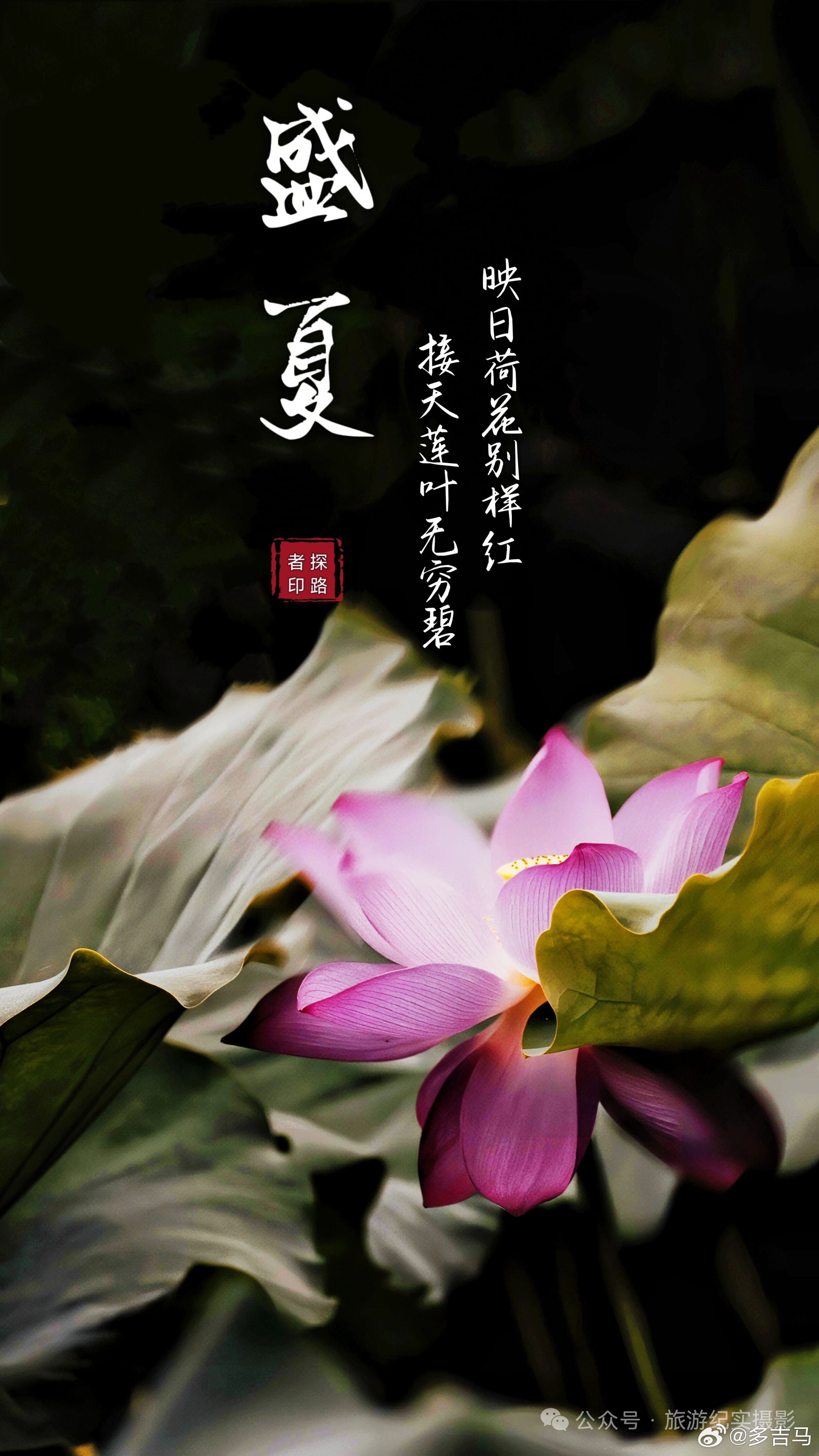 别把幸福定义成“大幸福”。小确幸才是日常：一杯热茶、一个好觉、一个拥抱。小暑安康