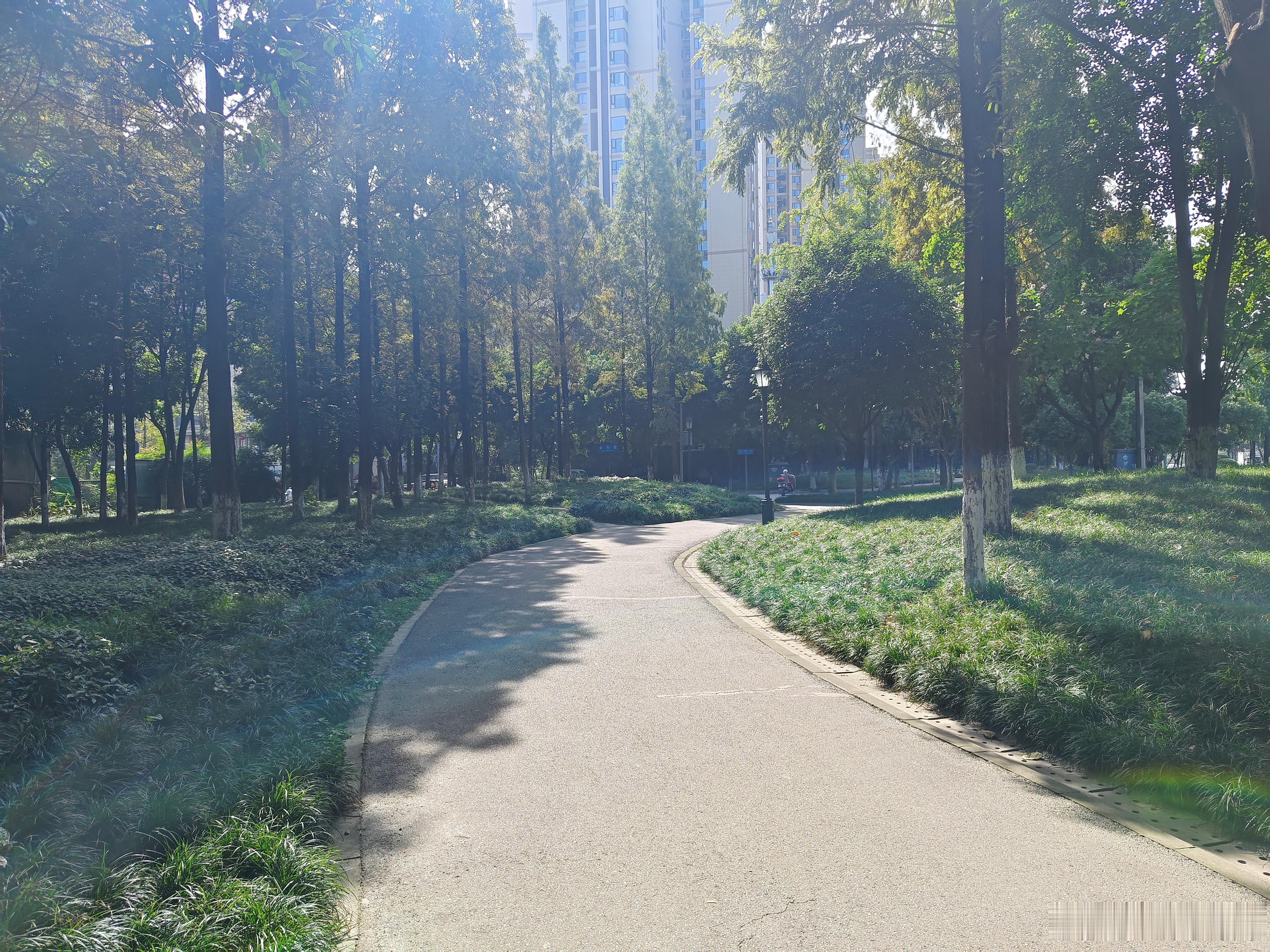 一月未经常至径，府河又添新桥景。金牛再牵青羊手，彼此更融情连心。​ 何洁 超女前