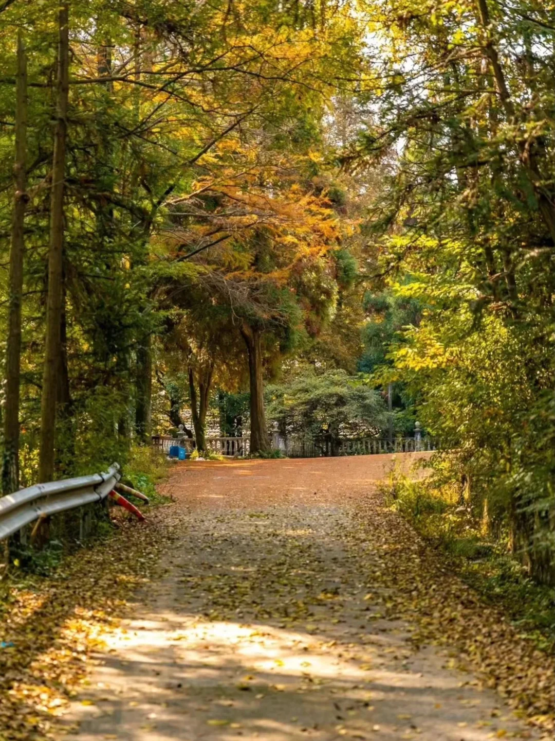 西塞山｜漫步陆羽古道、饮马古道✨