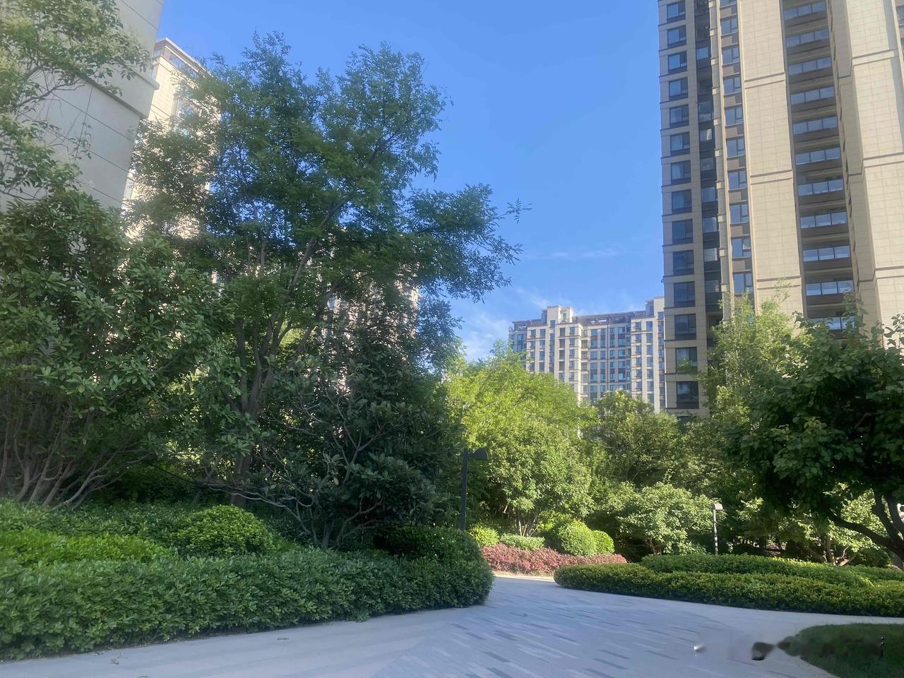 晒图笔记大赛绿意盎然的住宅小区，静享自然之美。