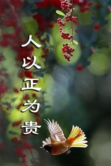 2024，什么最贵？#吉祥富贵🙏# #人人都富贵# #事事暖心如意# #幸福富