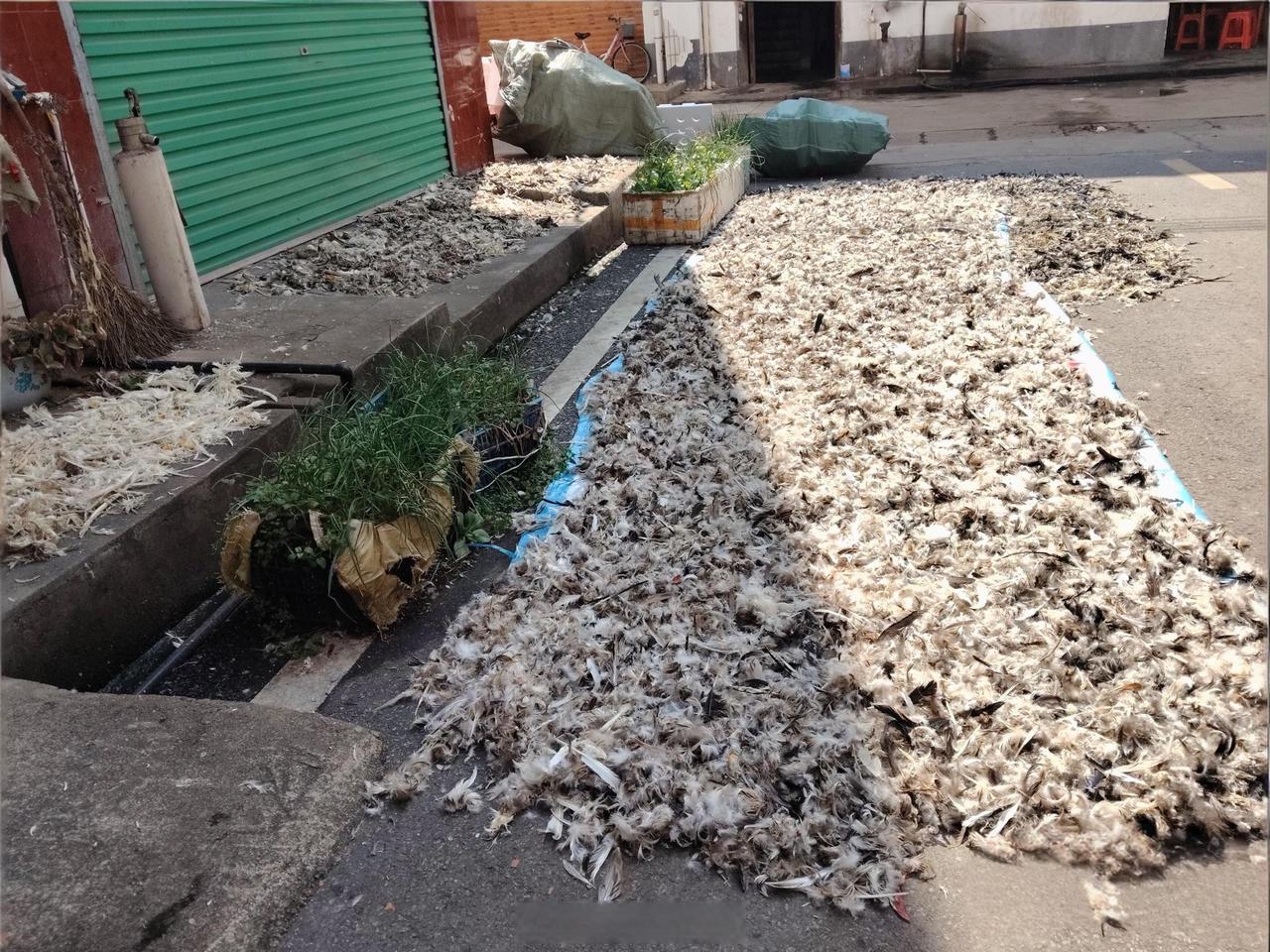 这就是羽绒服的材料