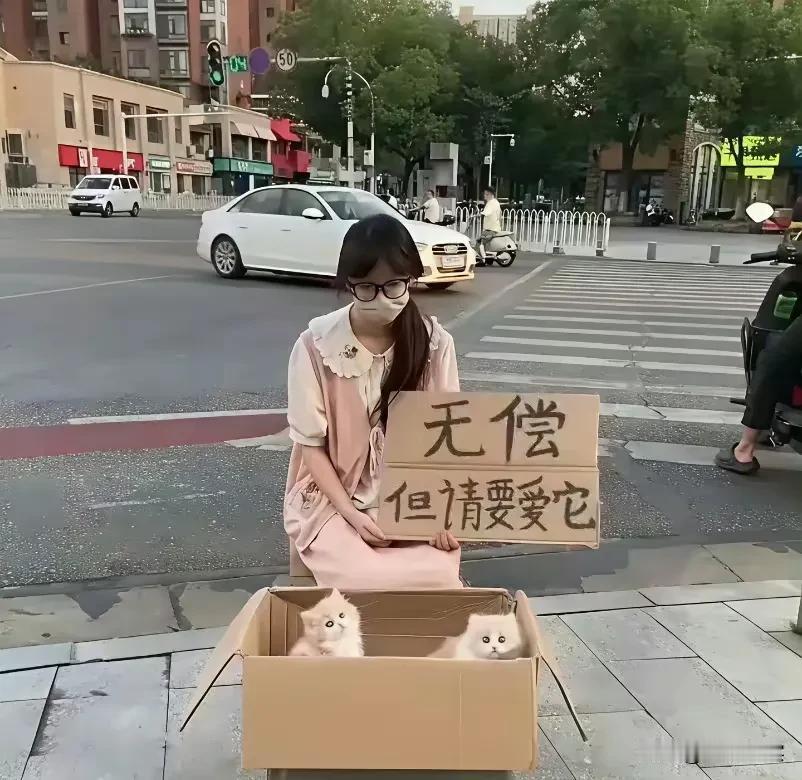 承诺与责任远比金钱更重要[赞]